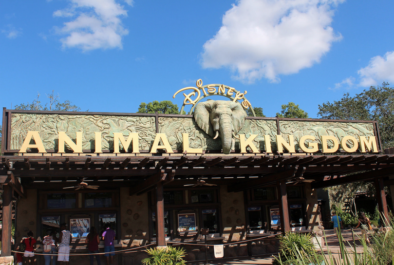 11 Places You (Literally) Can't Avoid Visiting at Disney's Animal Kingdom